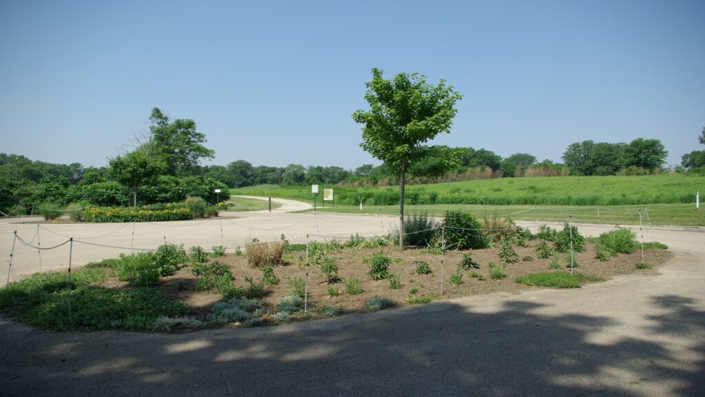 Albany Mounds streetscape