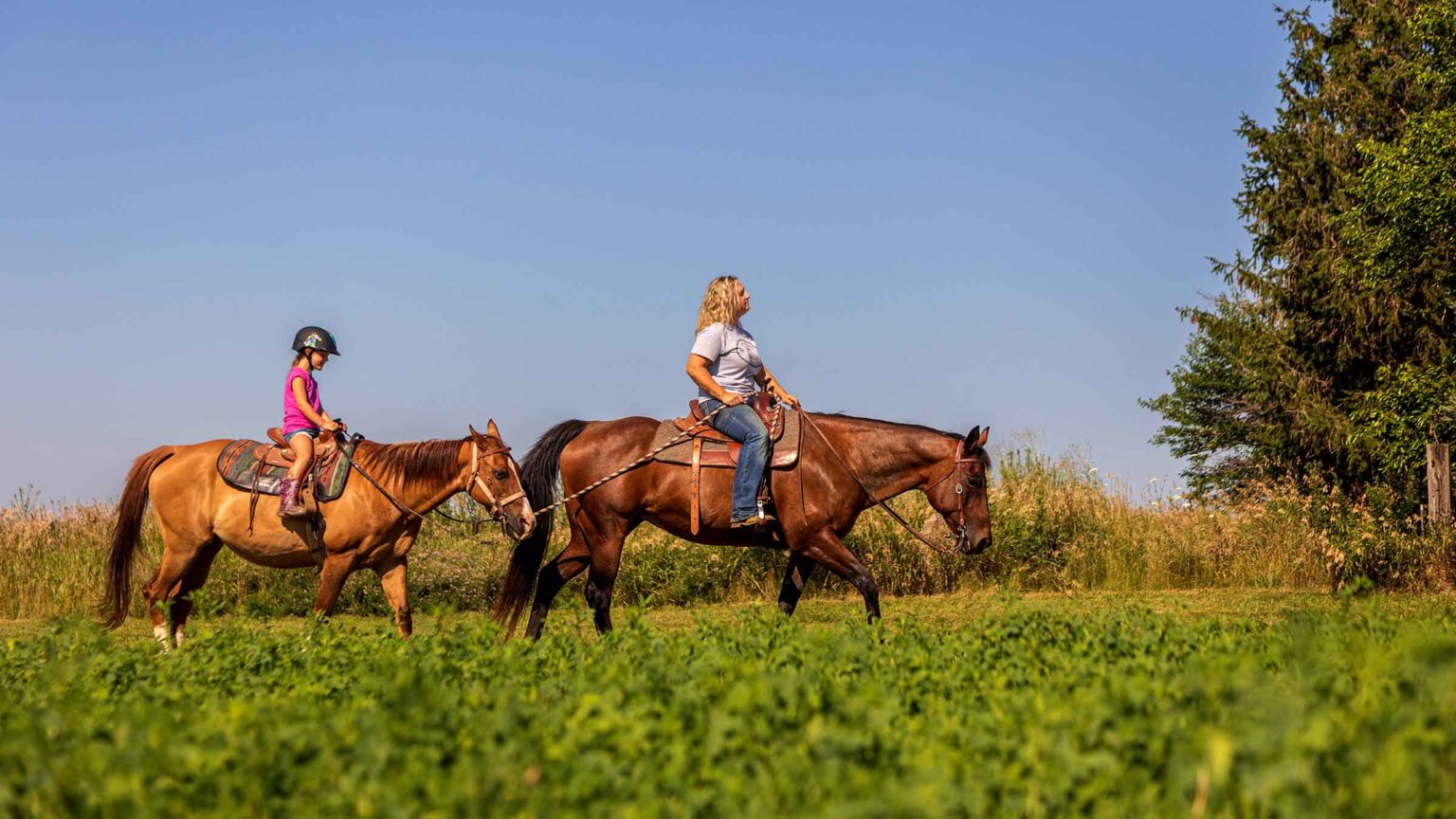 visit northwest illinois