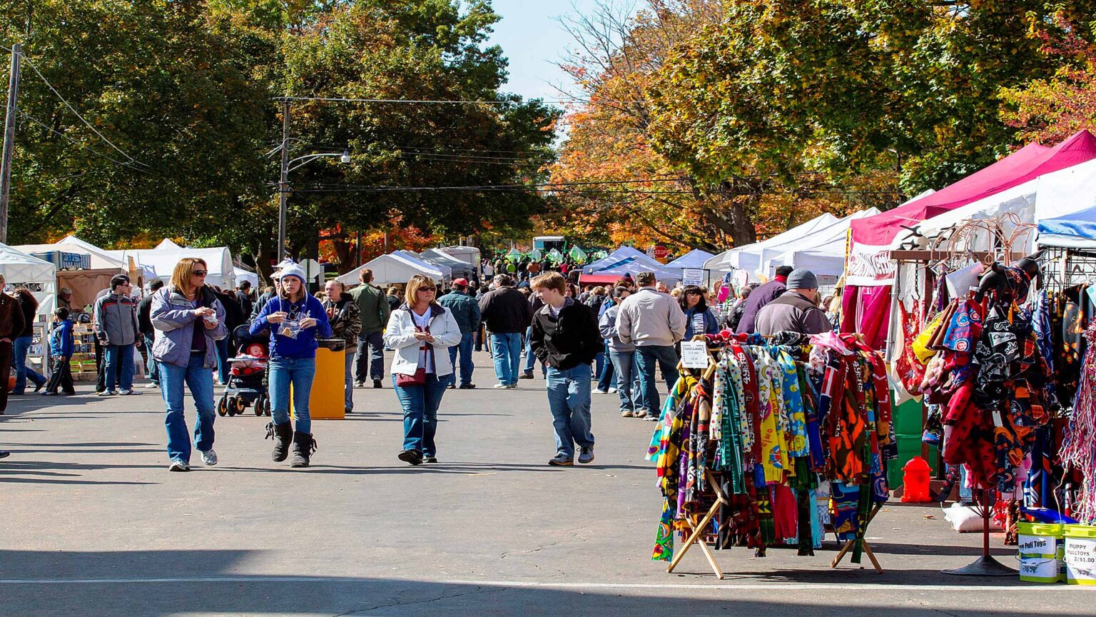 Autumn on Parade Visit NW Illinois